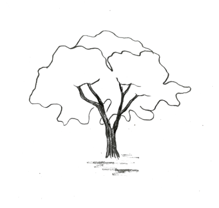 Illustration eines Baumes, steht für Nachhaltigkeit und ökologische Verantwortung.