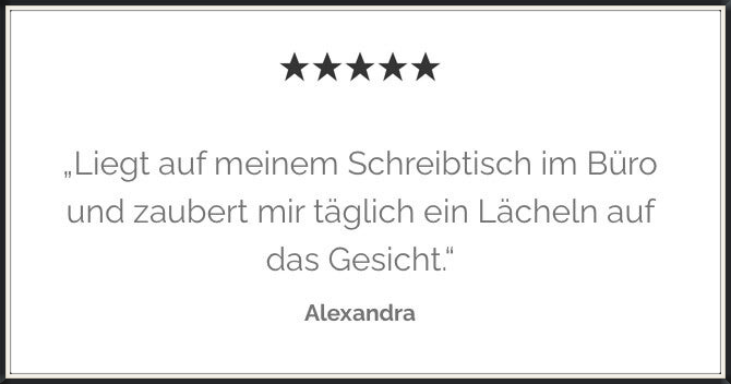 Impressionen einer 5-Sterne Kundenbewertung.