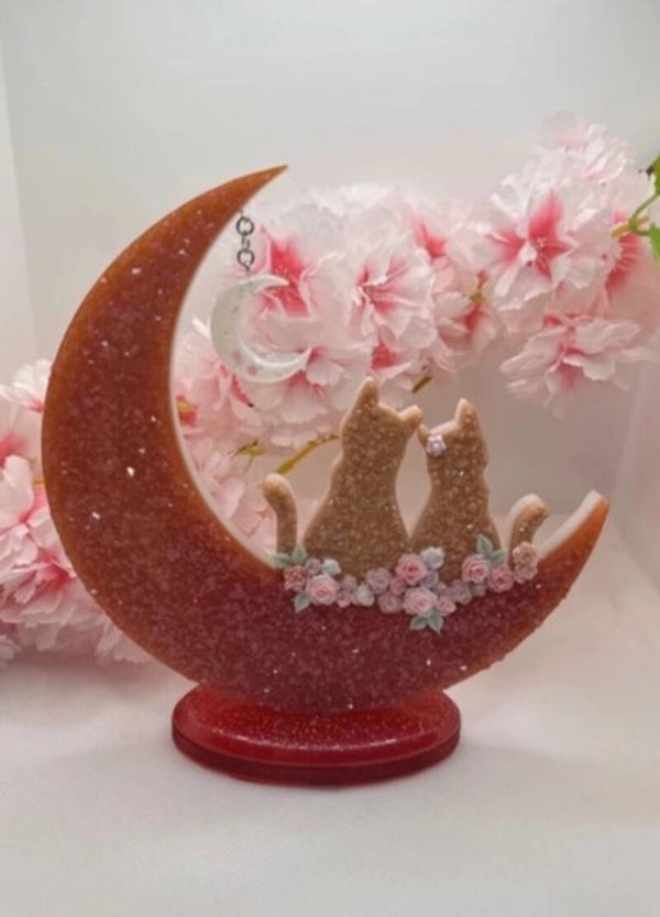 Couple chats sous la lune rose