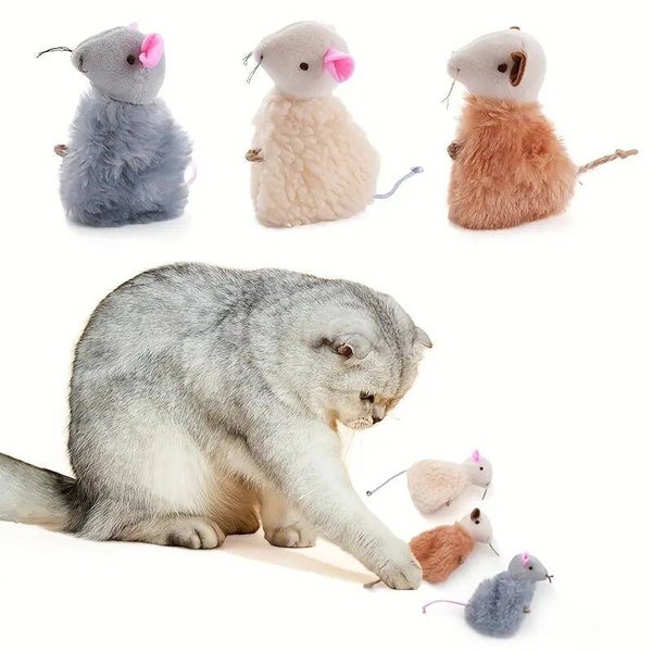 Muisjes met zakje kitten & co magisch kattenkruidmengsel.