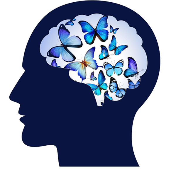 E-CONSULT