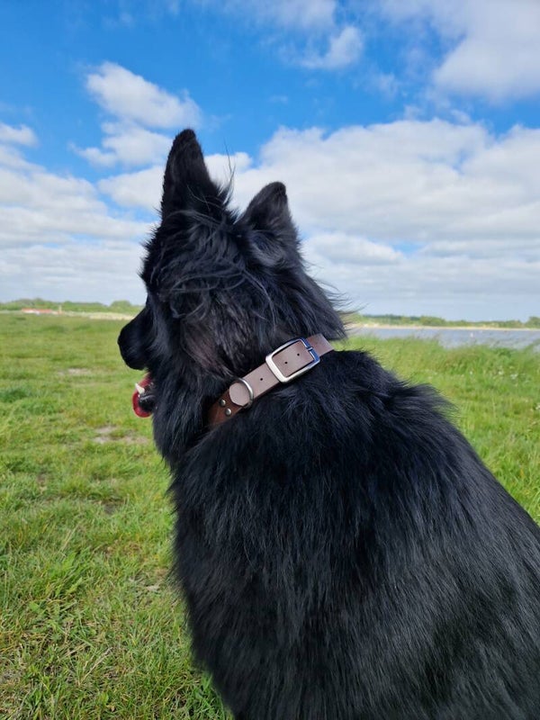 Halsband ''Classic''