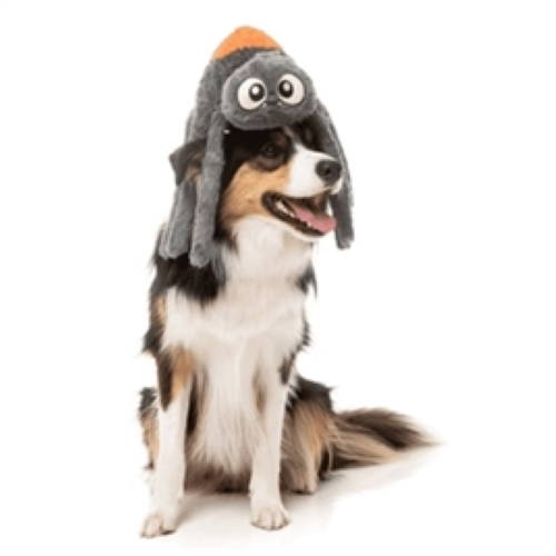 Fuzzyard Arachnate The Spider grijs/oranje