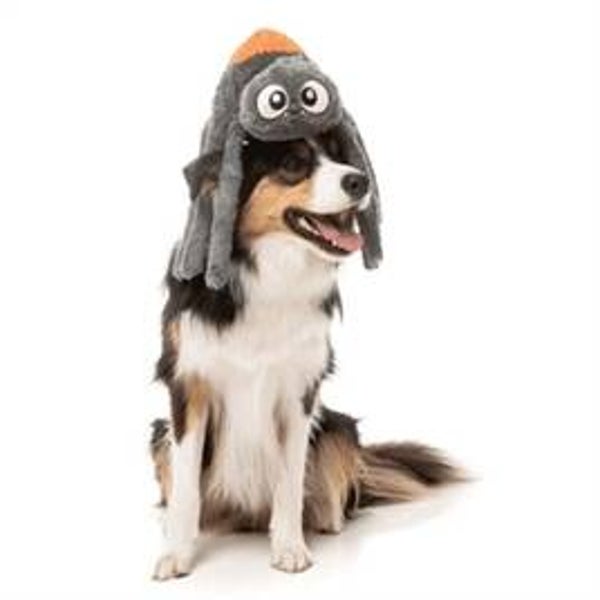 Fuzzyard Arachnate The Spider grijs/oranje