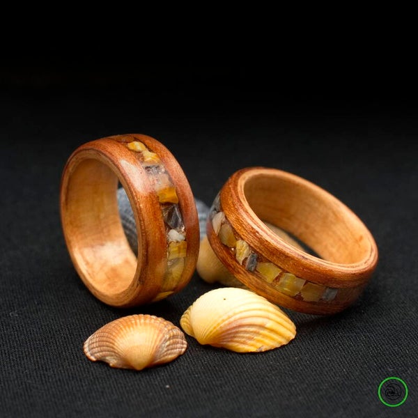 Houten ring uit Dubbel Fineer met Noordzee Schelp