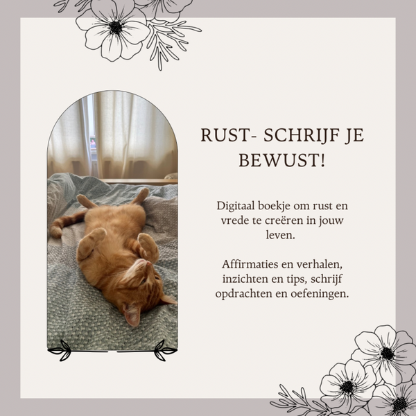 Rust- schrijf je bewust