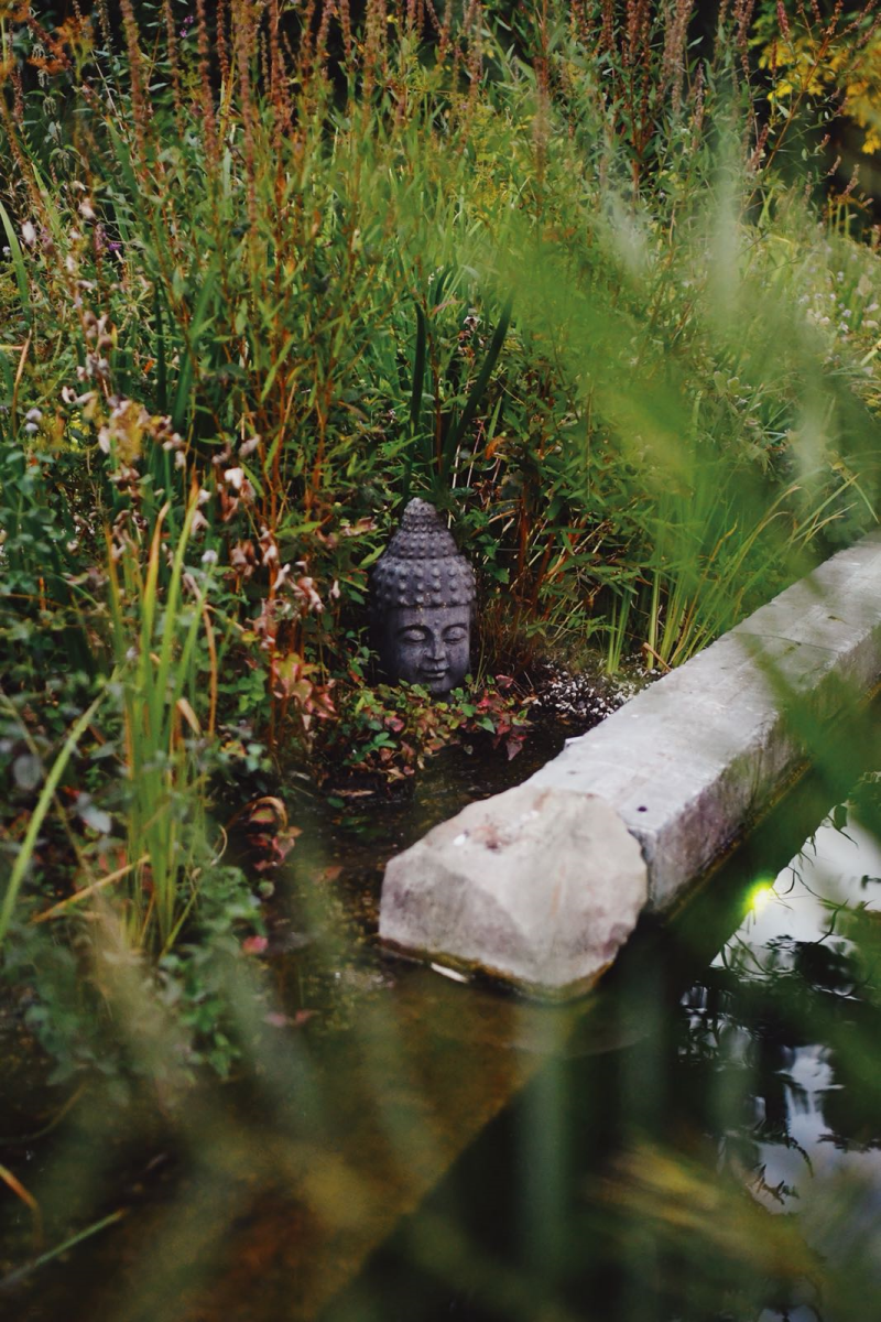 buddha-standard.png