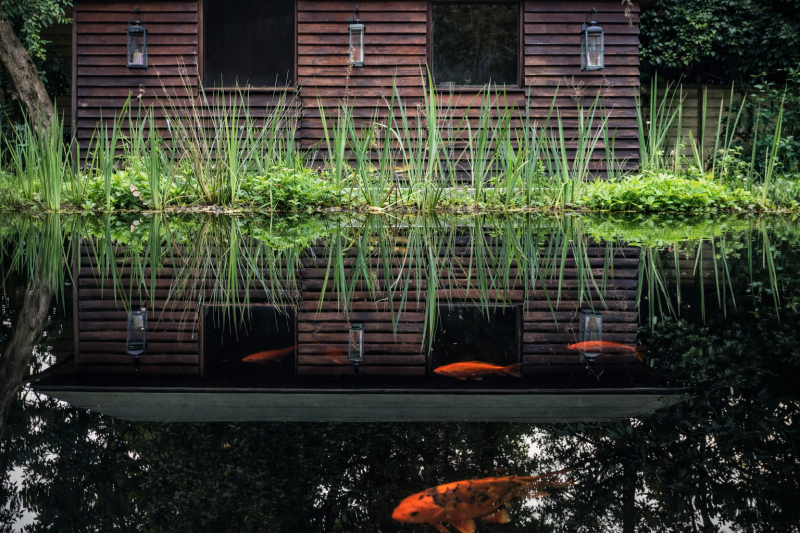 rustieke-cabine-aan-koivijver-reflectie-zoersel-standard-kxqokw.png