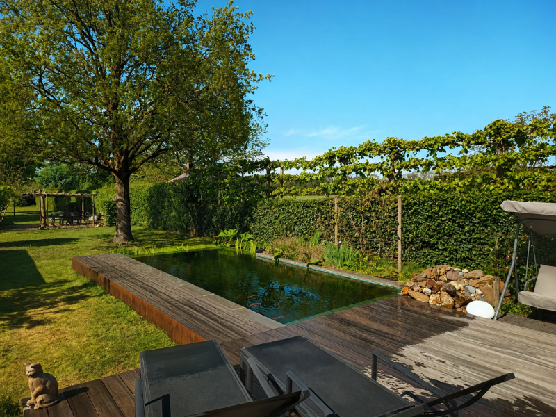 zwemvijver-en-terras-zoersel-standard-9n0fgr.png