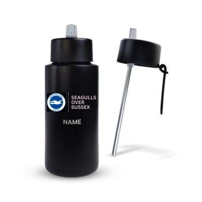 Stainless Steel Water Bottle