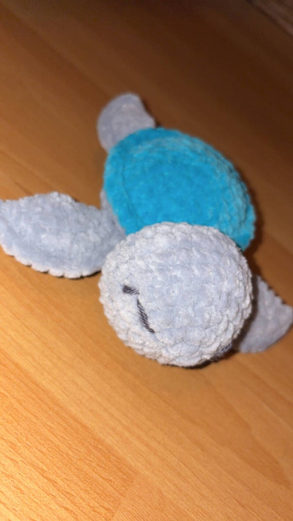 kleine Schildkröte 🐢