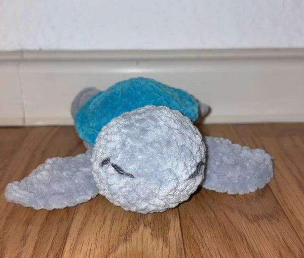 Kleine Schildkröte