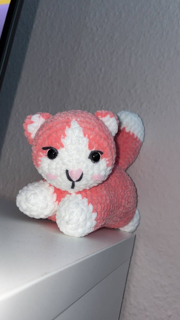 Katze