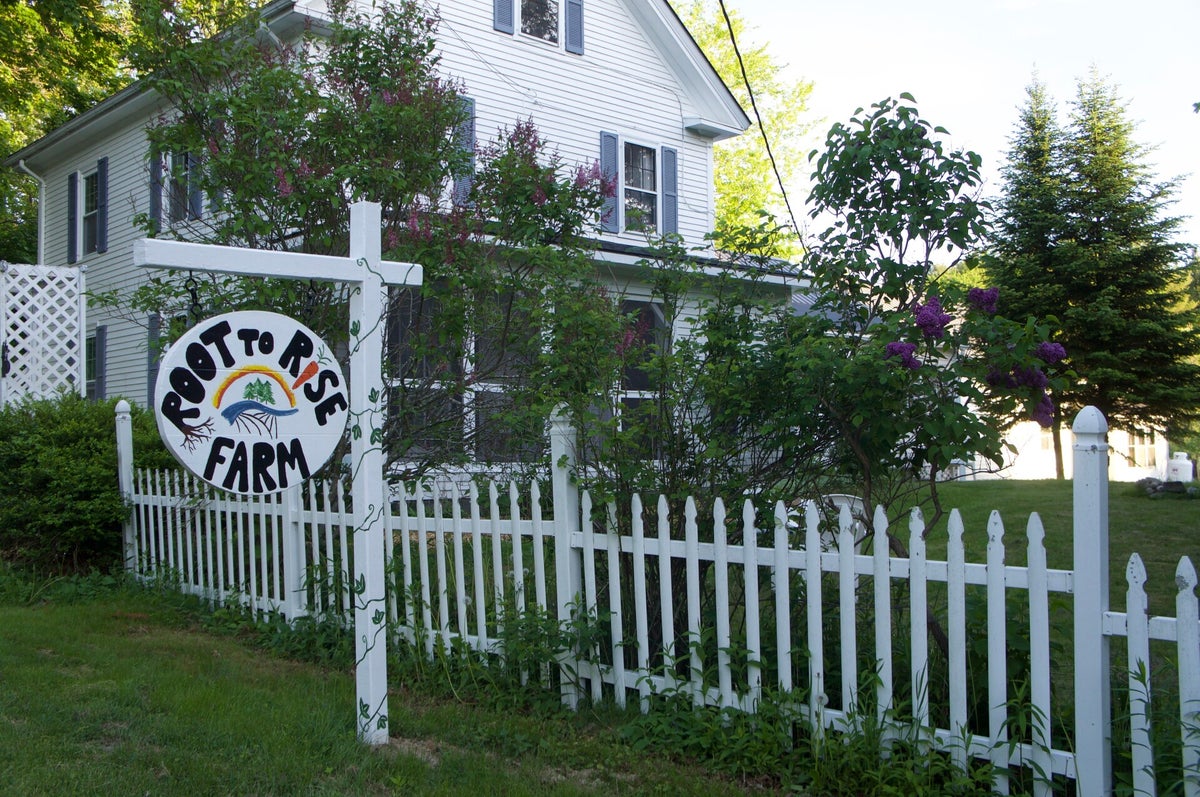 The Farm | Root To Rise Farm