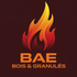Vente et Installation de Poêles à bois et à granules