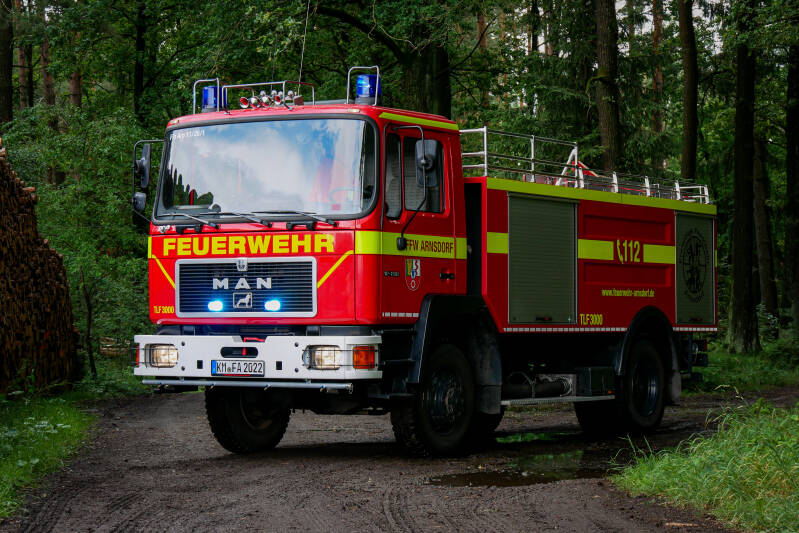 p1130861-standard-yy7oma.jpg