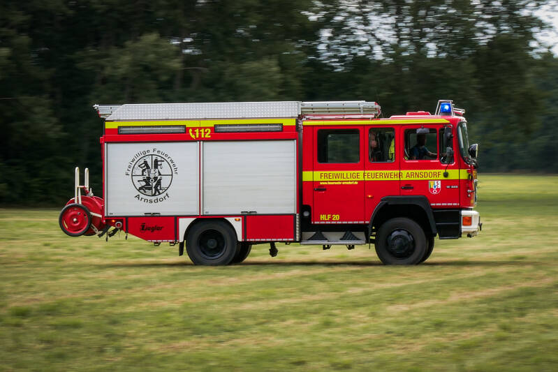 p1150773-1-standard.jpg