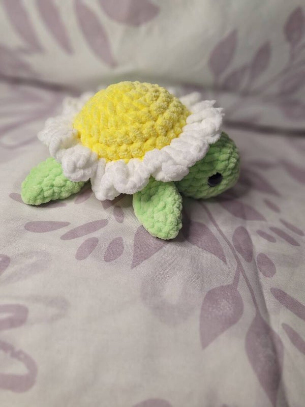 Margerite-Schildkröte