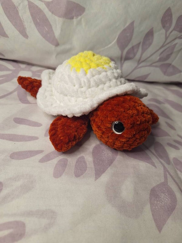 Spiegelei- Schildkröte