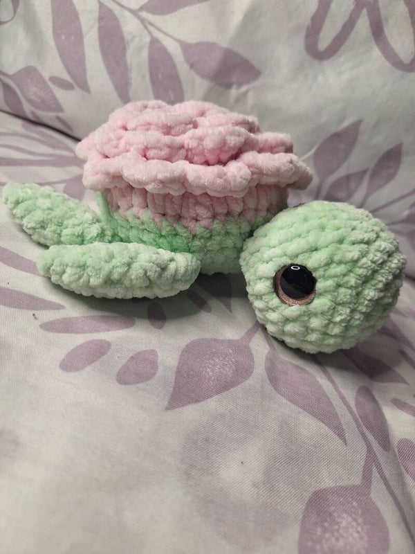 Rosen- Schildkröten