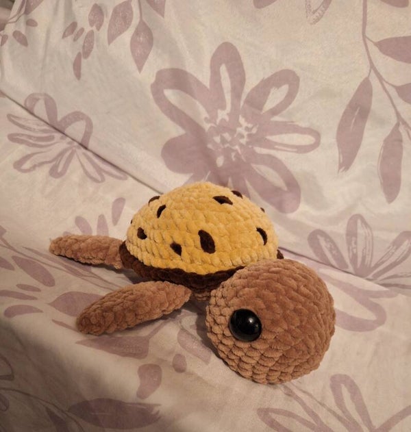 Cookie- Schildkröte