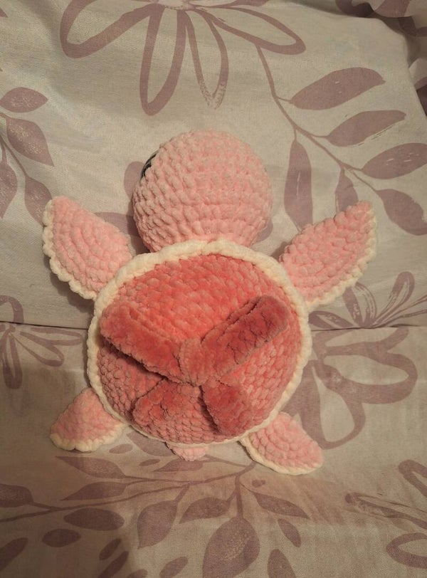 Schleifen- Schildkröten