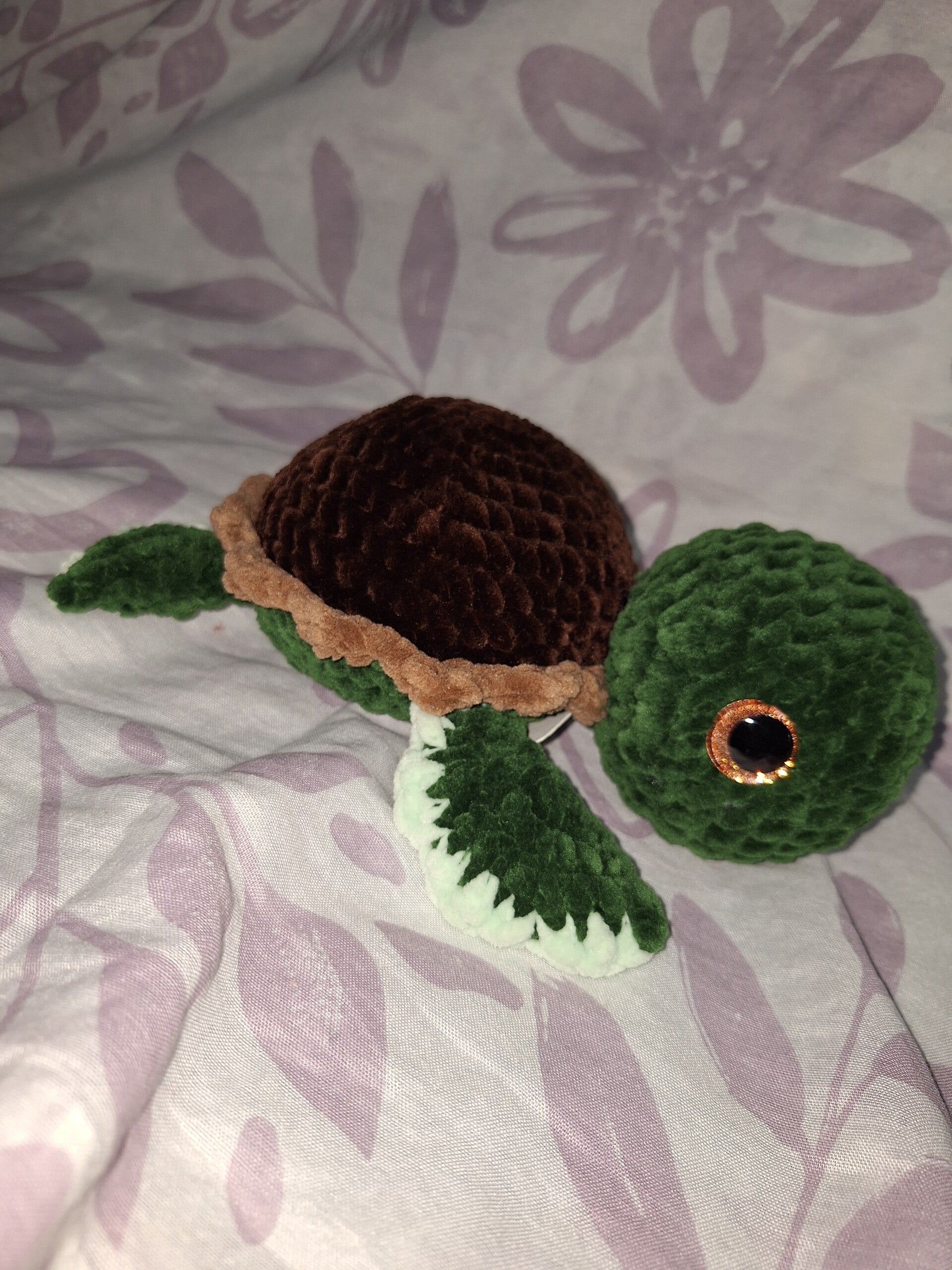 Normalo- Schildkröte