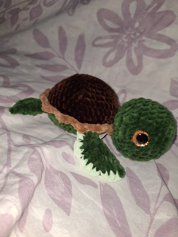 Normalo- Schildkröte