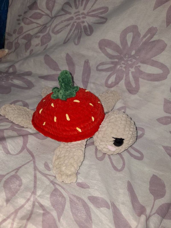 Erdbeere-Schildkröte