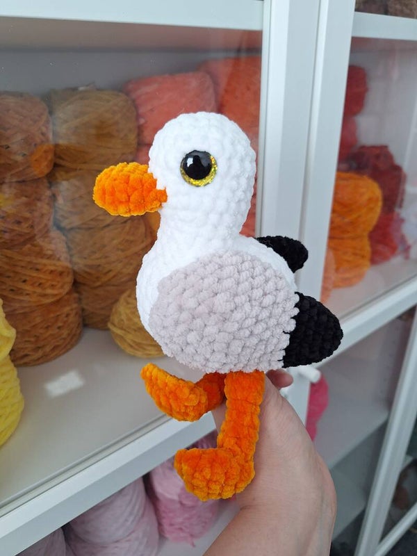 Möwe