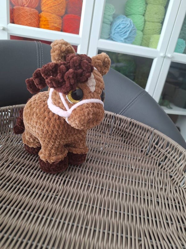 Reservierung für Isabel