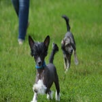 DSC_0112.jpg