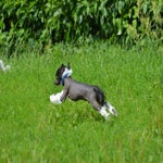 DSC_0804.jpg
