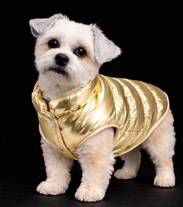 Bodywarmer/jasje Gold