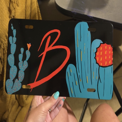 license-plate-standard.png