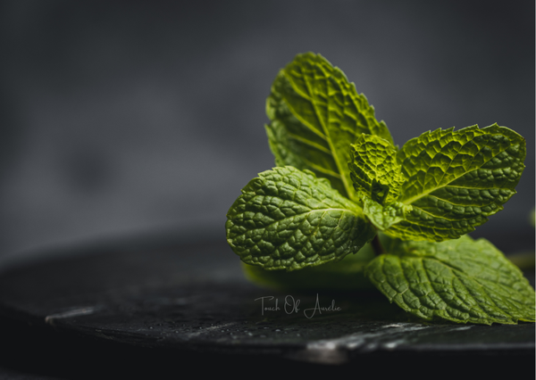 Persil menthe