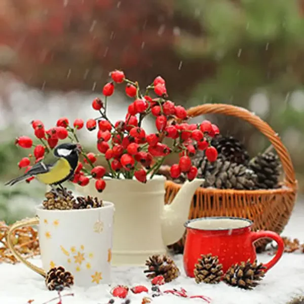 Merry Berry