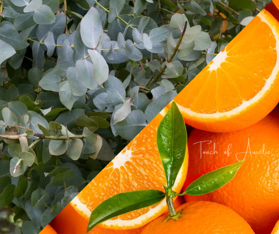 Eucalyptus et orange