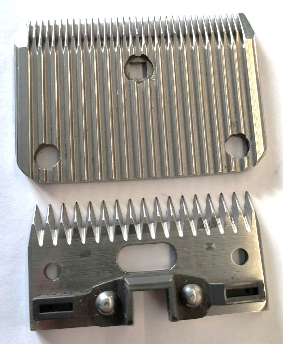 Set Scheerkoppen Paard