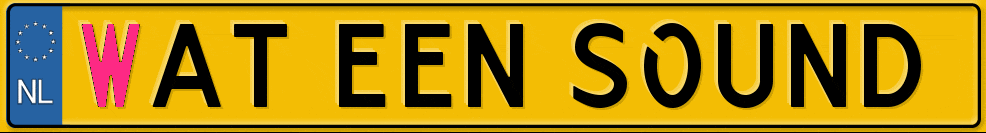 Friesemerenteam