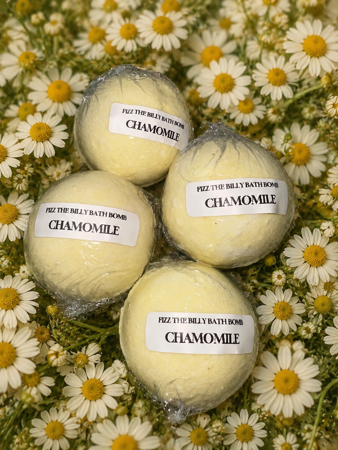 CHAMOMILE