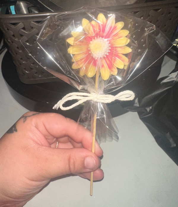 Delicate Daisies [Single on stem]