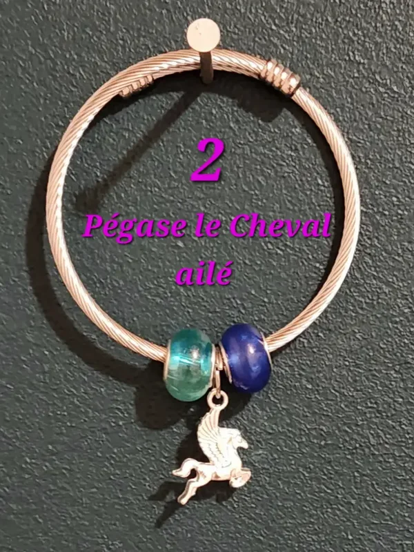 Bracelet rigide