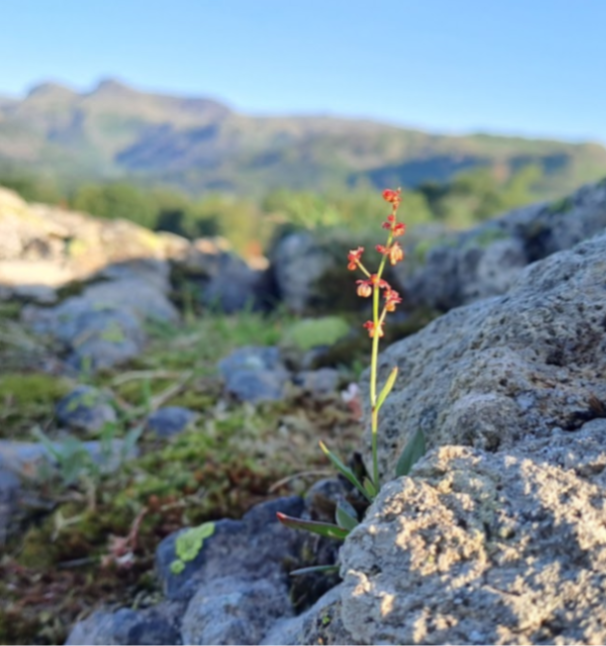 natuurcoaching en genieten in het Lake District met Elja