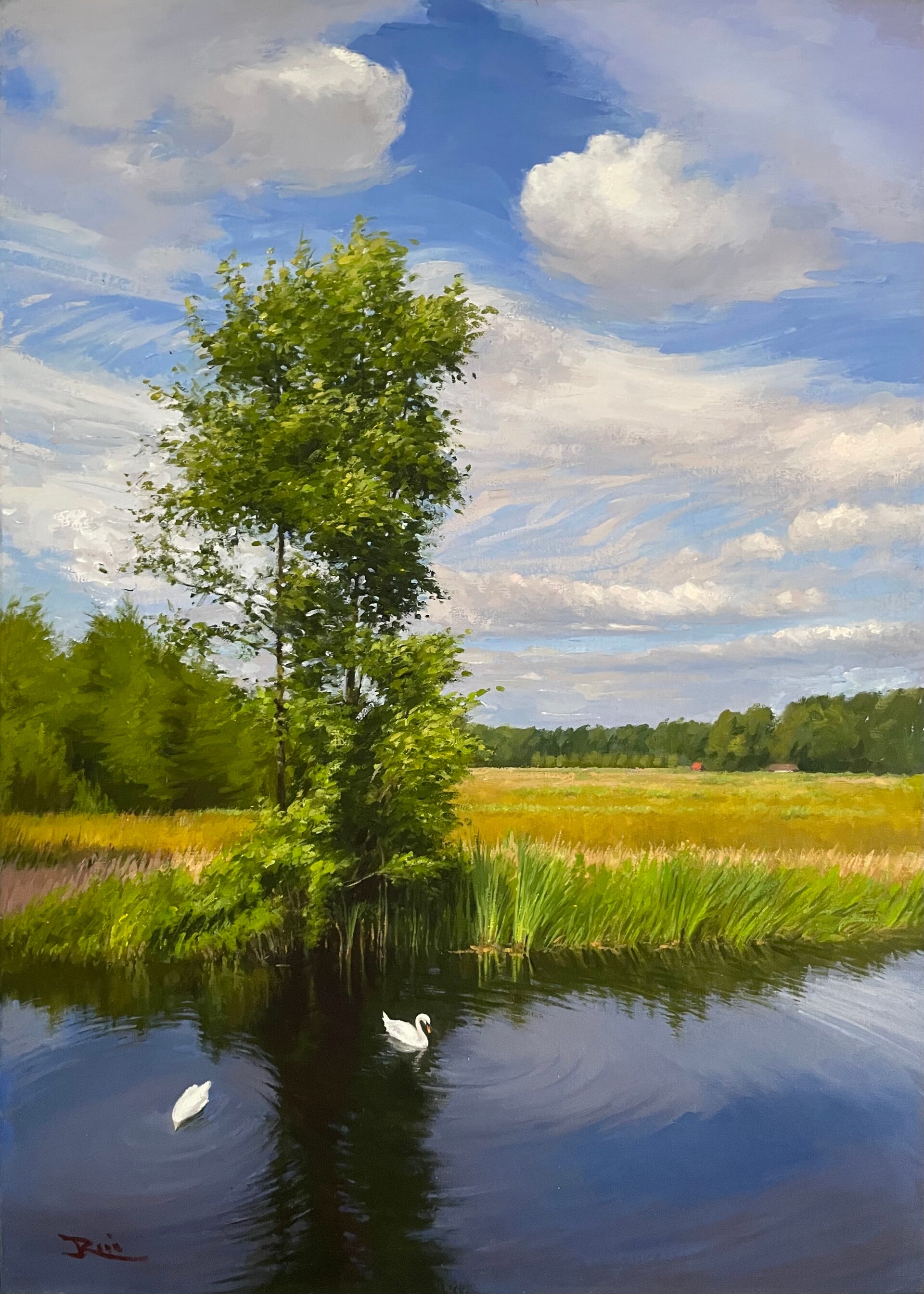 Waterplas achter Kasteel Maurick