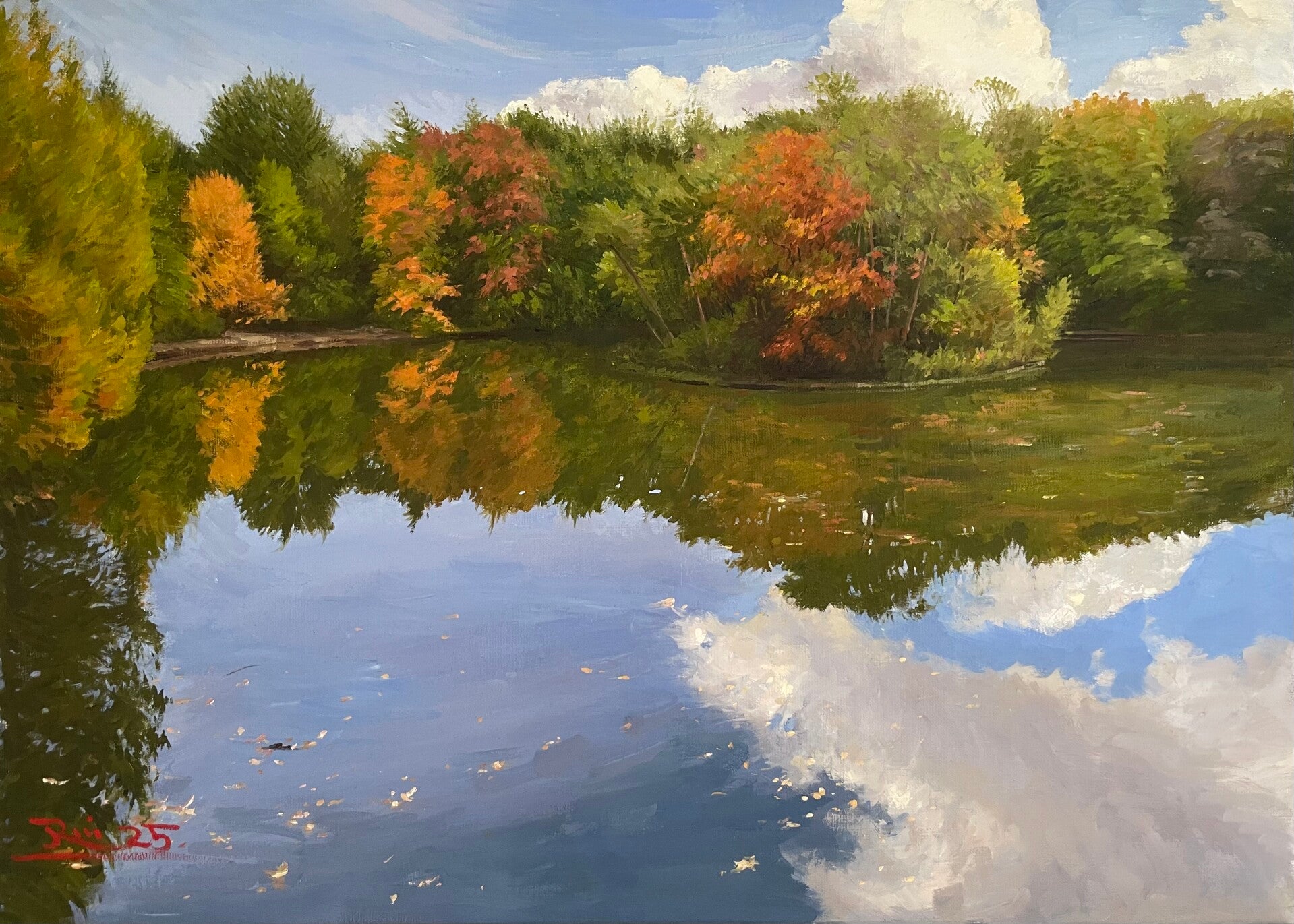 Herfst in Park Heuvelrug