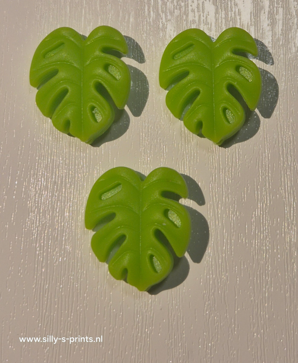 silicone blad 2