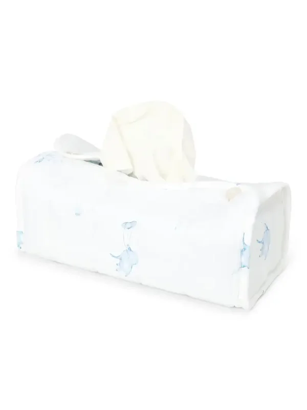 Tissue box hoes
