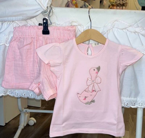 EMC set