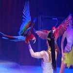 037-standard-khbwb4.jpg
